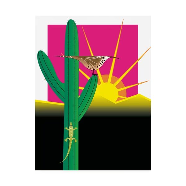 Marie Sansone 'Cactus Wren' Canvas Art, 24x32, Trademark Fine Art, Mfr#: ALI44581-C2432GG